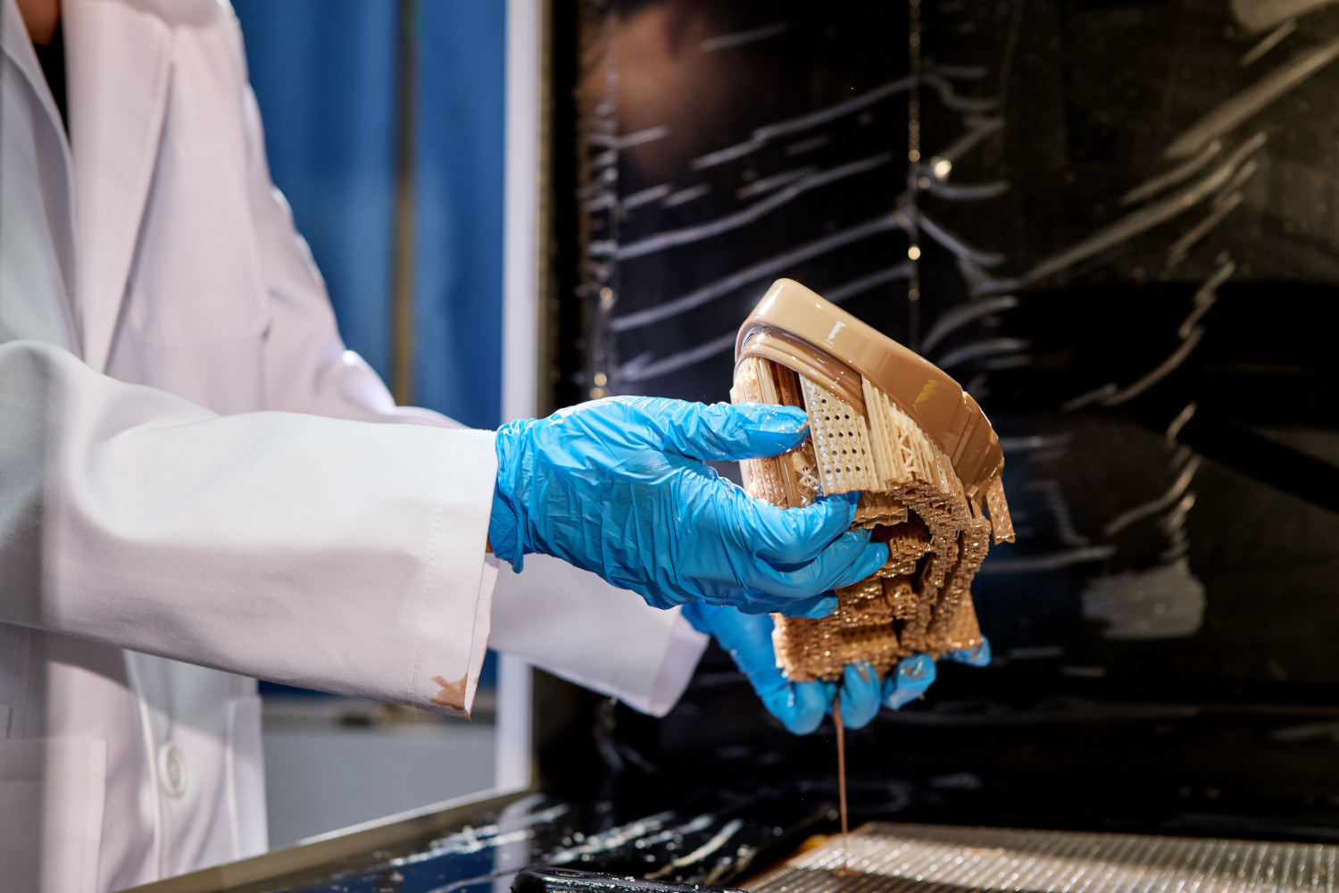 20240326_stella_1274